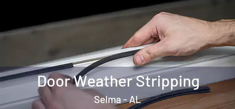 Door Weather Stripping Selma - AL