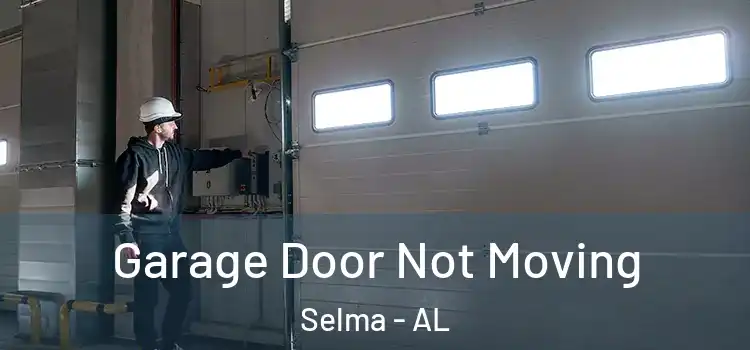  Garage Door Not Moving Selma - AL