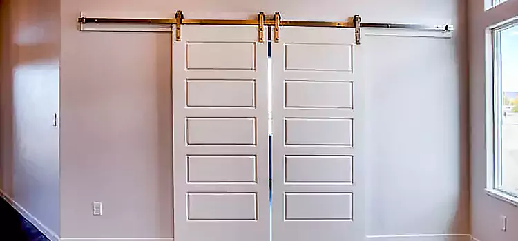 Glass Barn Door with Installation Hardware Kit Selma